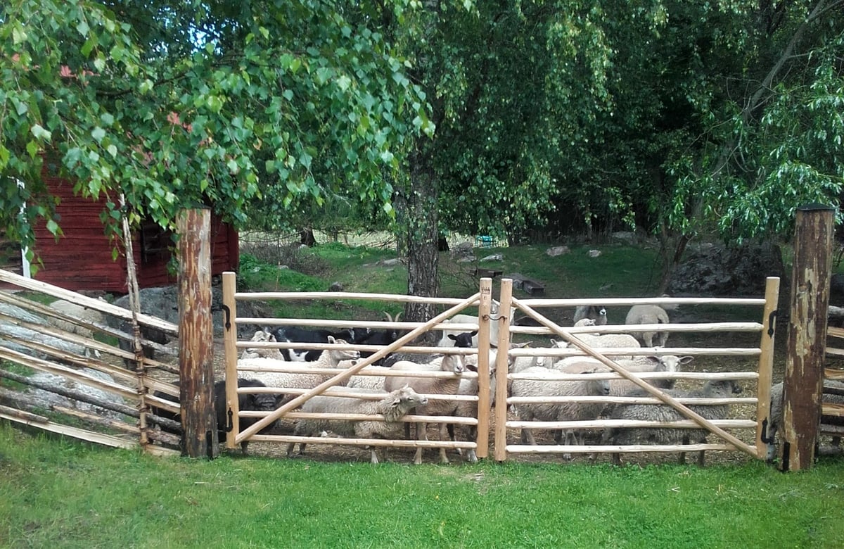 Dubbel Pinngrind i trä till gärdsgård som staket i Norrtälje.