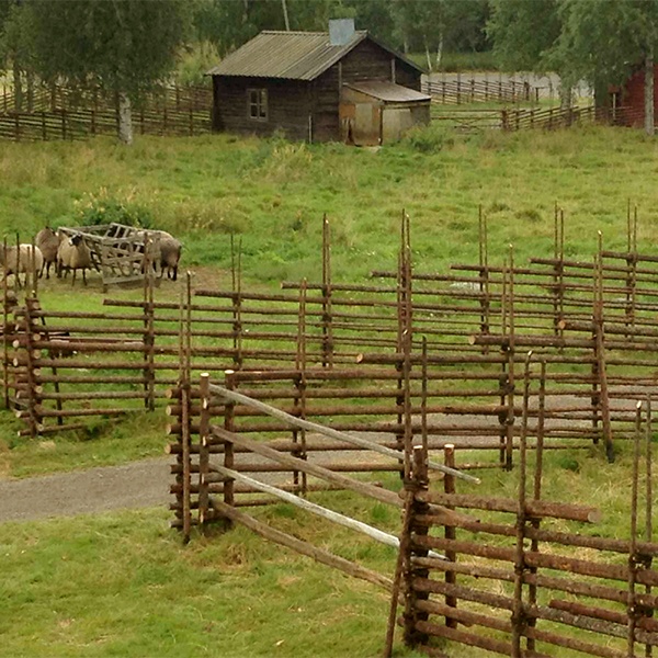 Hägnan Gammelstad Luleå, Långgärdsgård & slanöppning