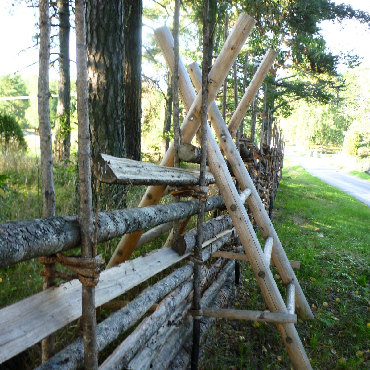 Stätta stege 1-1